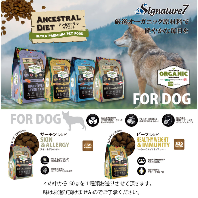 2025年 夏【福袋】 犬 3300円 数量限定セール サマーボックス