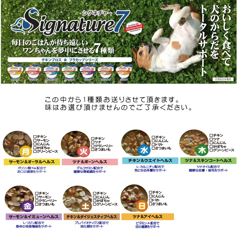 2025年 夏【福袋】 犬 3300円 数量限定セール サマーボックス