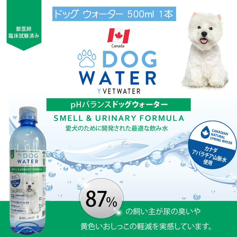 2025年 夏【福袋】 犬 3300円 数量限定セール サマーボックス