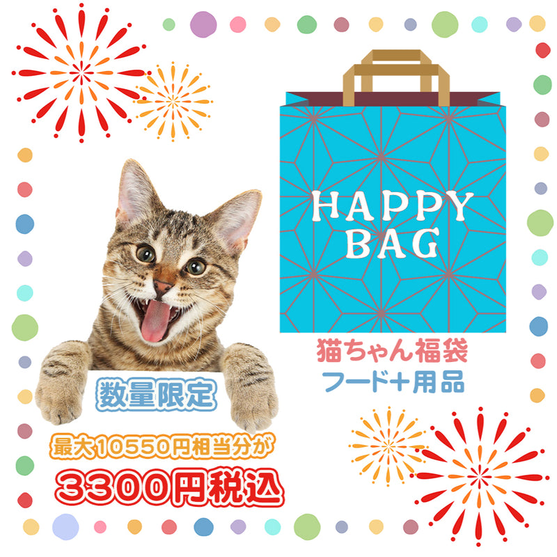 2025年 夏【福袋】 猫 3300円 数量限定セール サマーボックス