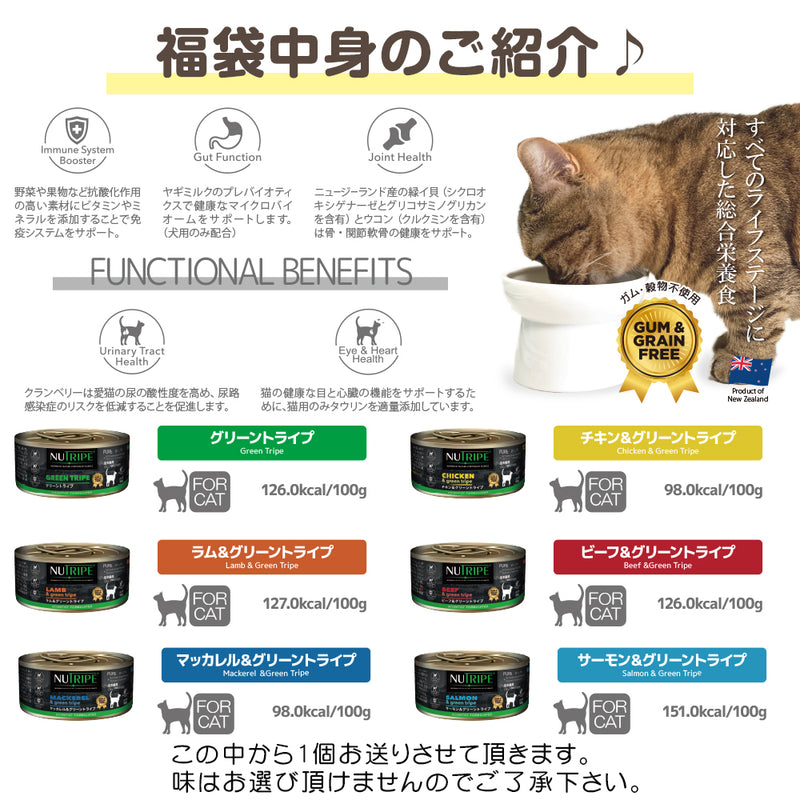 2025年 夏【福袋】 猫 3300円 数量限定セール サマーボックス