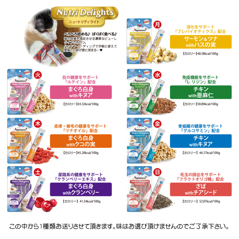 2025年 夏【福袋】 猫 3300円 数量限定セール サマーボックス