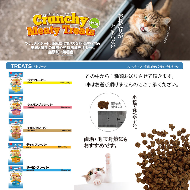 2025年 夏【福袋】 猫 3300円 数量限定セール サマーボックス