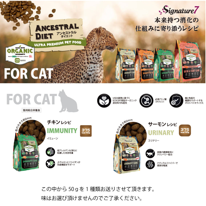 2025年 夏【福袋】 猫 3300円 数量限定セール サマーボックス