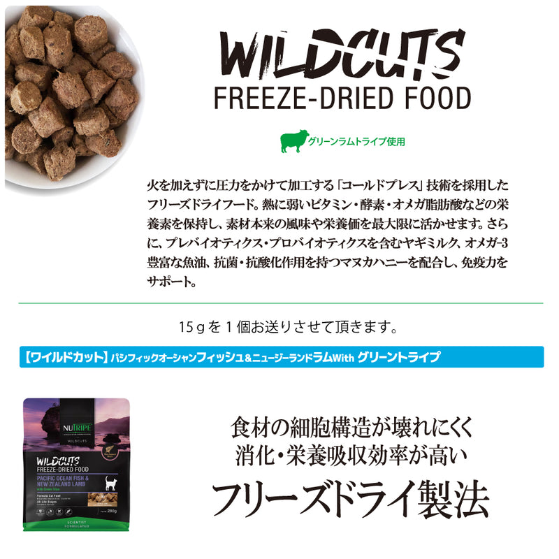 2025年 夏【福袋】 猫 3300円 数量限定セール サマーボックス