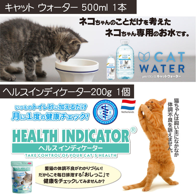 2025年 夏【福袋】 猫 3300円 数量限定セール サマーボックス