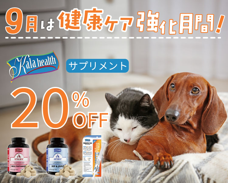 https://www.fanta-shop.jp/search?type=product&q=%E3%80%909%E6%9C%88%E9%99%90%E5%AE%9A+20%EF%BC%85OFF%E3%80%91%E3%82%AB%E3%83%A9%E3%83%98%E3%83%AB%E3%82%B9