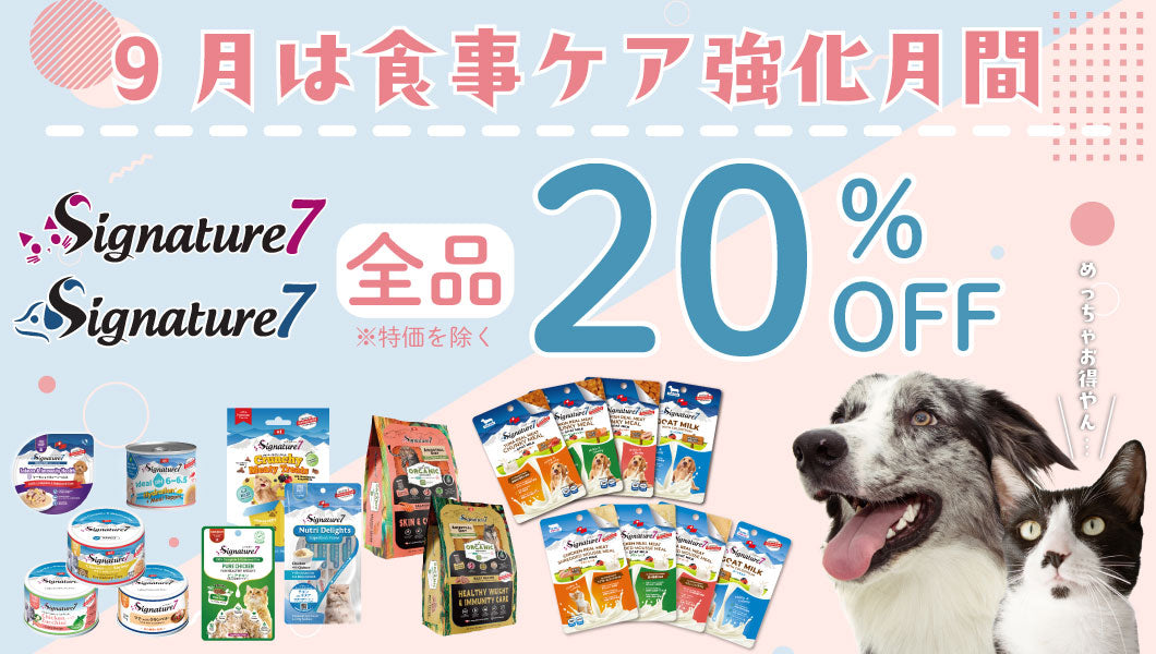 https://www.fanta-shop.jp/search?type=product&q=%E3%80%909%E6%9C%88%E9%99%90%E5%AE%9A+20%EF%BC%85OFF%E3%80%91+%E3%82%B7%E3%82%B0%E3%83%8D%E3%83%81%E3%83%A3%E3%83%BC7