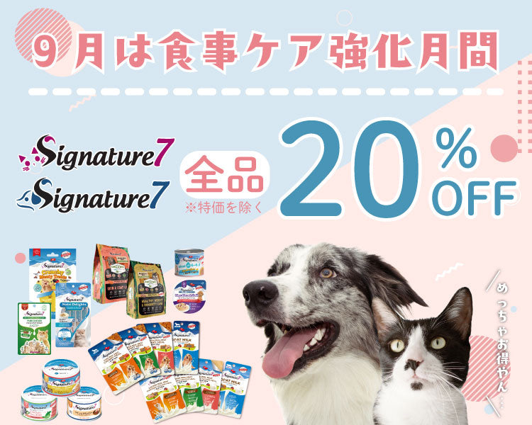 https://www.fanta-shop.jp/search?type=product&q=%E3%80%909%E6%9C%88%E9%99%90%E5%AE%9A+20%EF%BC%85OFF%E3%80%91+%E3%82%B7%E3%82%B0%E3%83%8D%E3%83%81%E3%83%A3%E3%83%BC7