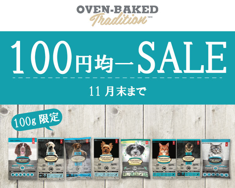 https://www.fanta-shop.jp/products/sale-november?_pos=5&_sid=4d187e8c4&_ss=r