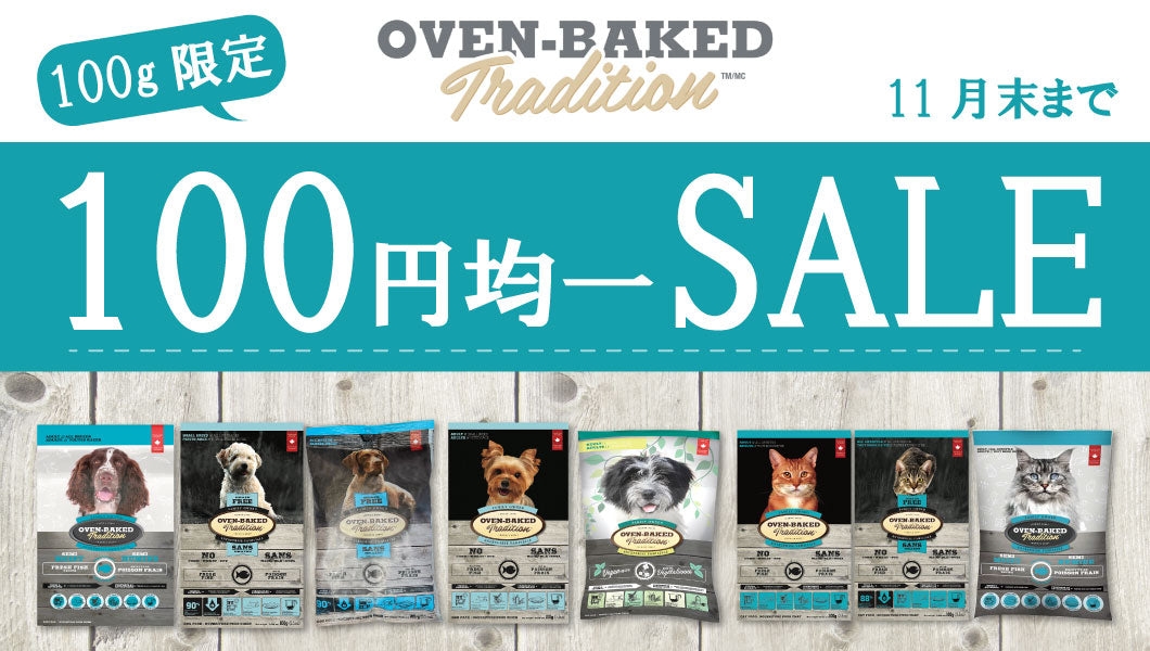 https://www.fanta-shop.jp/products/sale-november?_pos=5&_sid=4d187e8c4&_ss=r