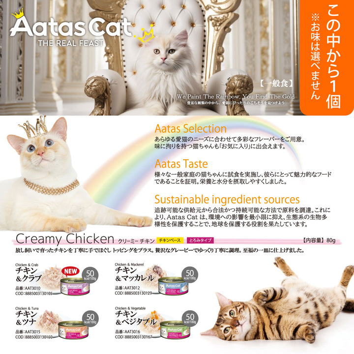 2026年 夏【福袋】 猫 3980円 シグネチャー7 ニュートライプ シシア