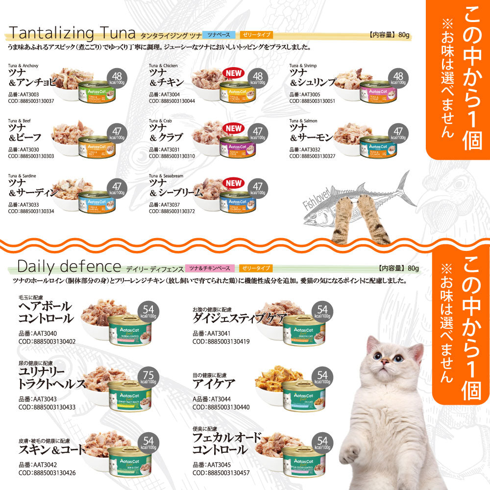 2026年 夏【福袋】 猫 3980円 シグネチャー7 ニュートライプ シシア