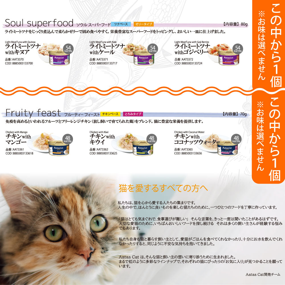 2026年 夏【福袋】 猫 3980円 シグネチャー7 ニュートライプ シシア