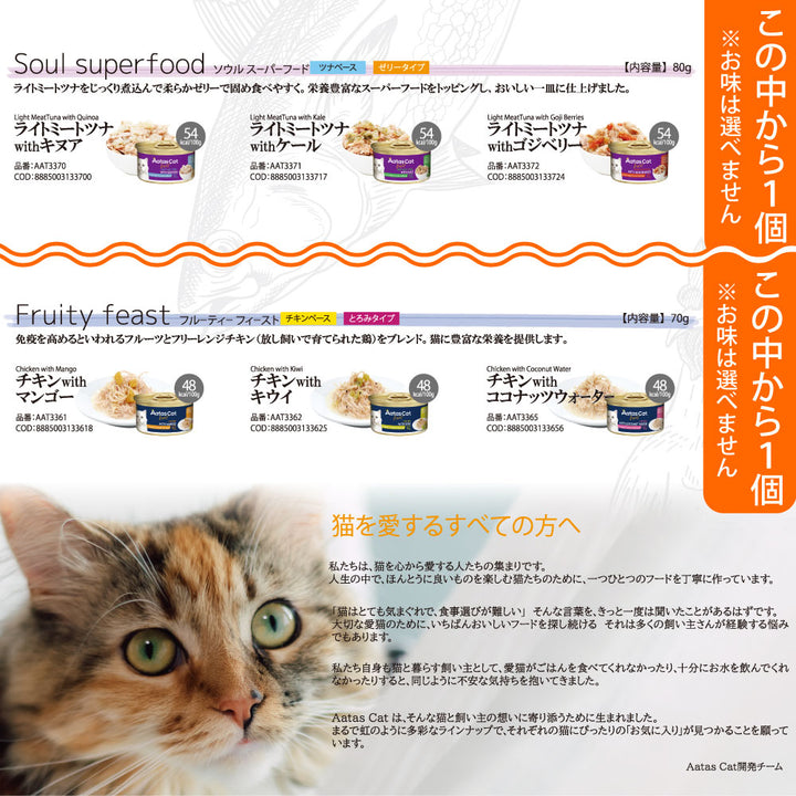 サニメド シニア猫用 10袋セット 生産終了品 期限2026年8月 2026年 夏【福袋】 猫 3980円 シグネチャー7 ニュートライプ シシア