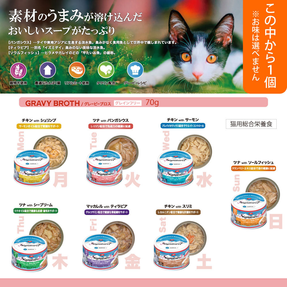 2026年 夏【福袋】 猫 3980円 シグネチャー7 ニュートライプ シシア