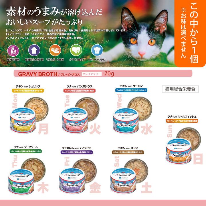 2026年 夏【福袋】 猫 3980円 シグネチャー7 ニュートライプ シシア