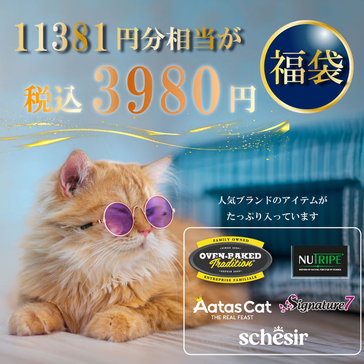 2026年 夏【福袋】 猫 3980円 シグネチャー7 ニュートライプ シシア