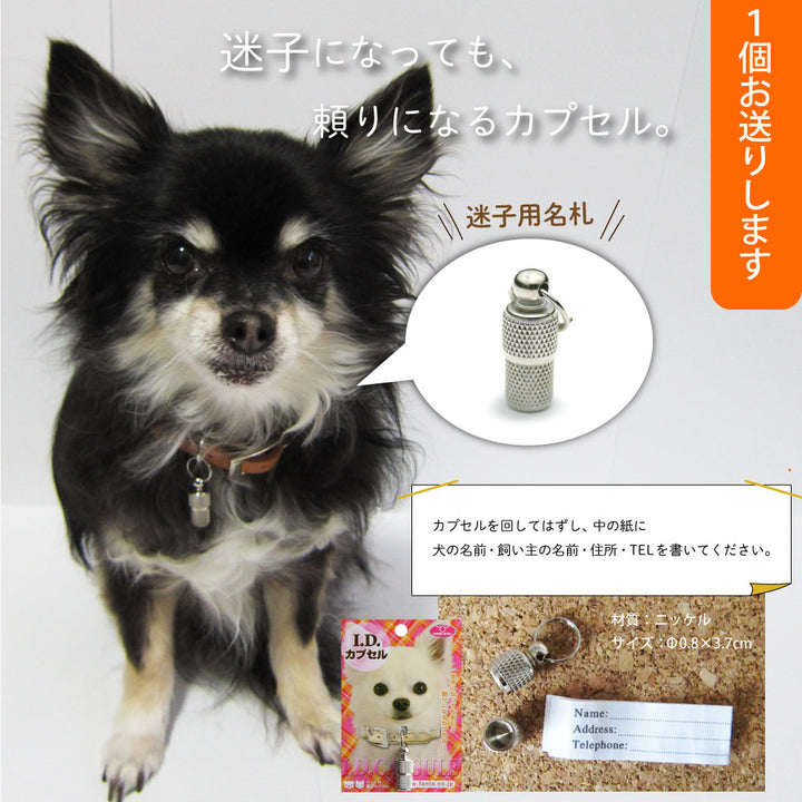 2026年 夏【福袋】 犬 3980円 ニュートライプ オーブンベークド