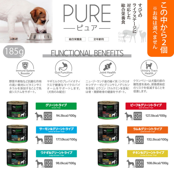 2026年 夏【福袋】 犬 3980円 ニュートライプ オーブンベークド