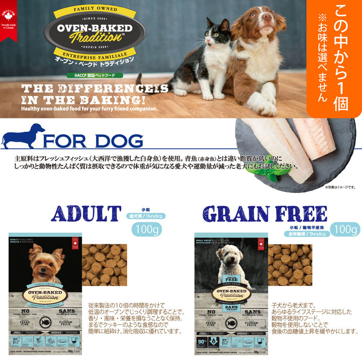 2026年 夏【福袋】 犬 3980円 ニュートライプ オーブンベークド