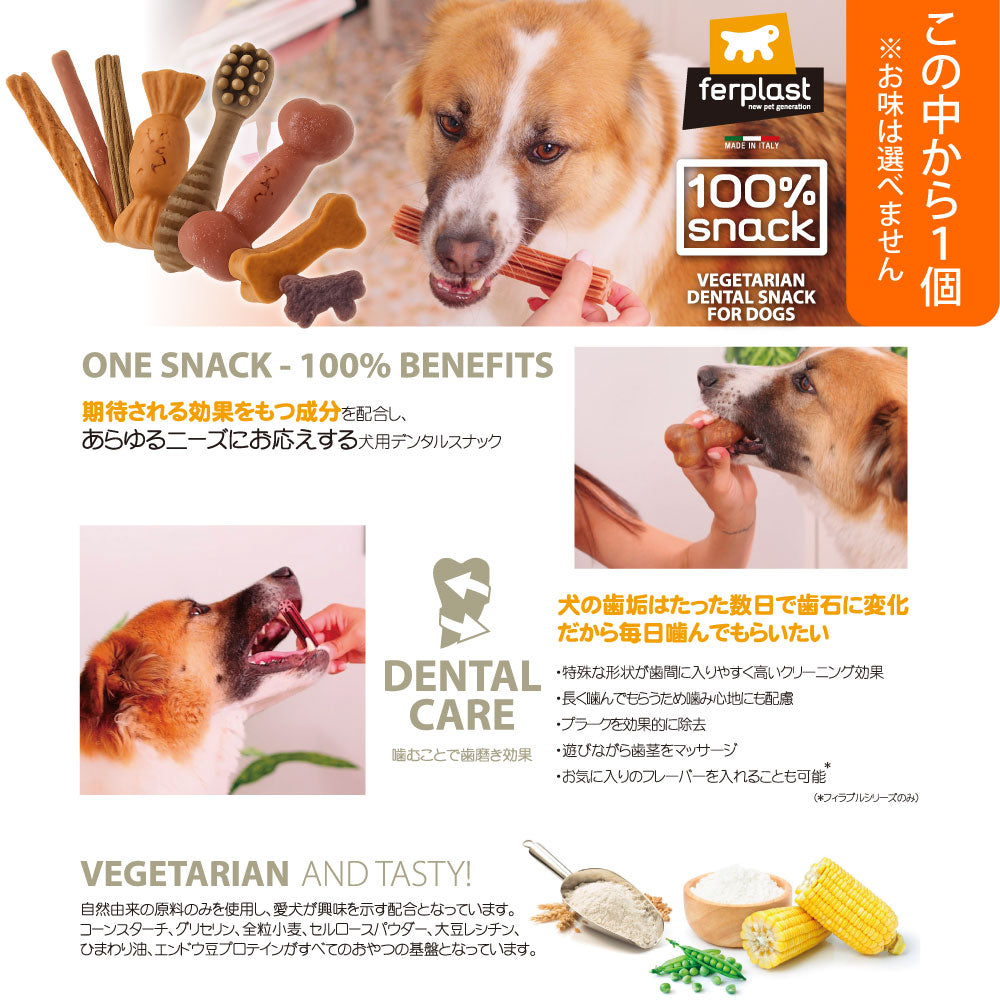 2026年 夏【福袋】 犬 3980円 ニュートライプ オーブンベークド
