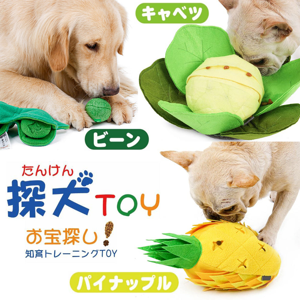 知育トイ 犬 おもちゃ キャベツ パイナップル ビーン 玩具 遊び ペット