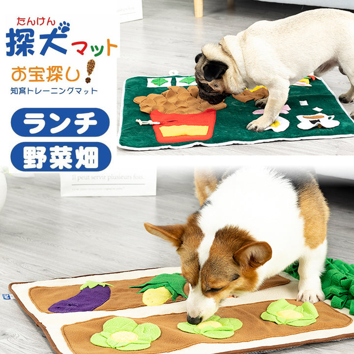 Jerry's Nugget kickstarter 限定版 Authentic Jerry's Nugget Playing Cards by Expert Playing
