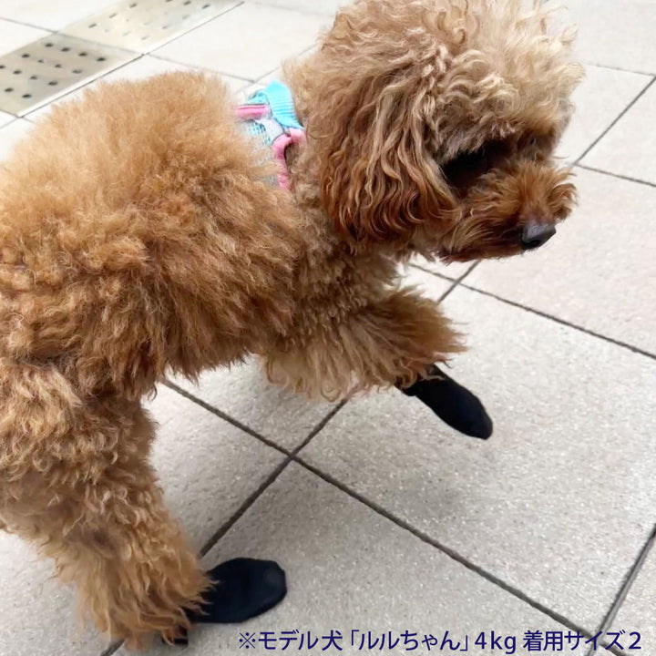 チワワ・シーズーなど小型犬用のドッグブーツ・2 – ファンタジー