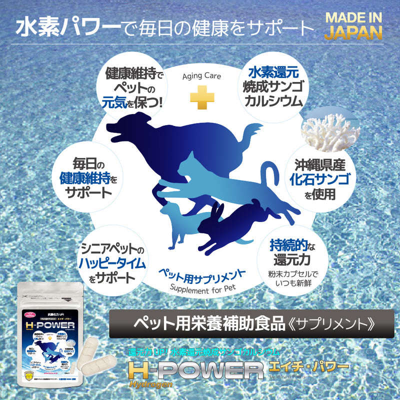 ペット用　栄養補助食品　サプリメント　H-POWER　エイチ・パワー