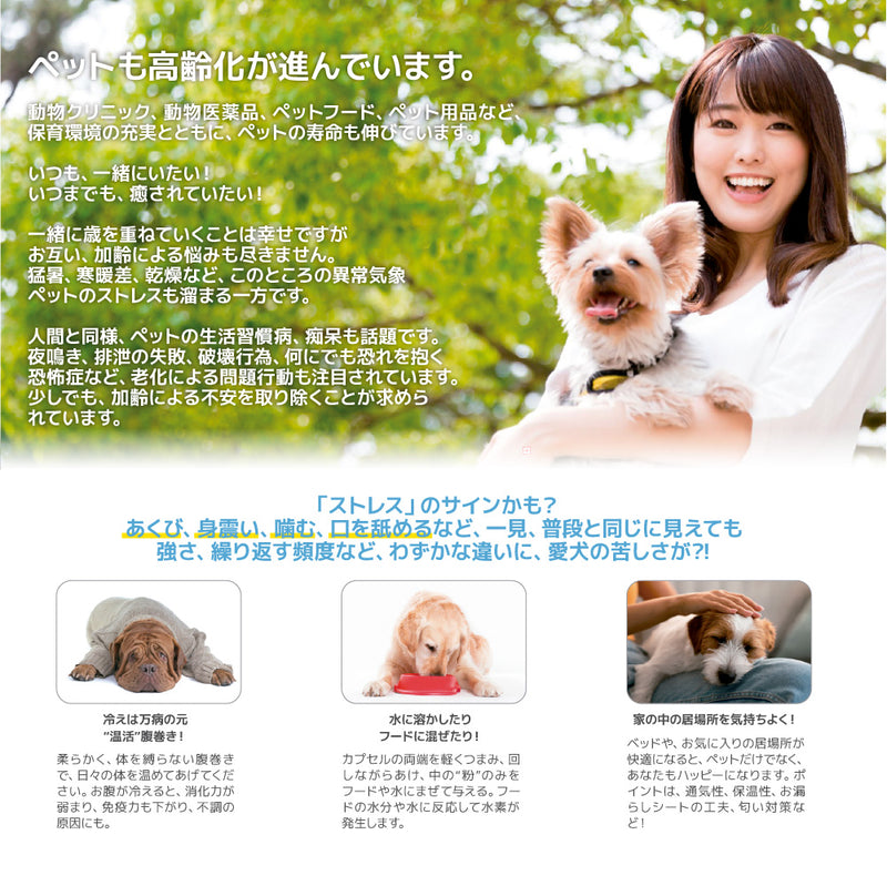 ペット用　栄養補助食品　サプリメント　H-POWER　エイチ・パワー