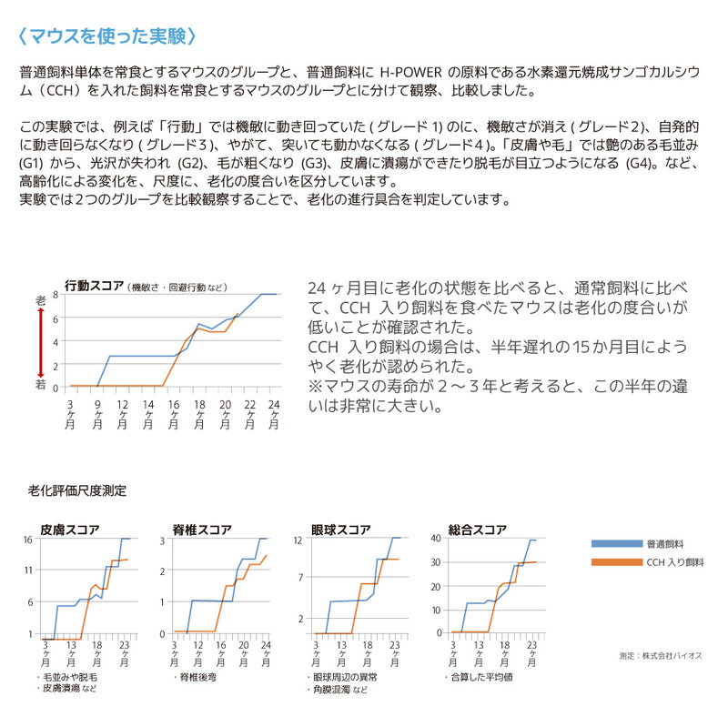ペット用　栄養補助食品　サプリメント　H-POWER　エイチ・パワー
