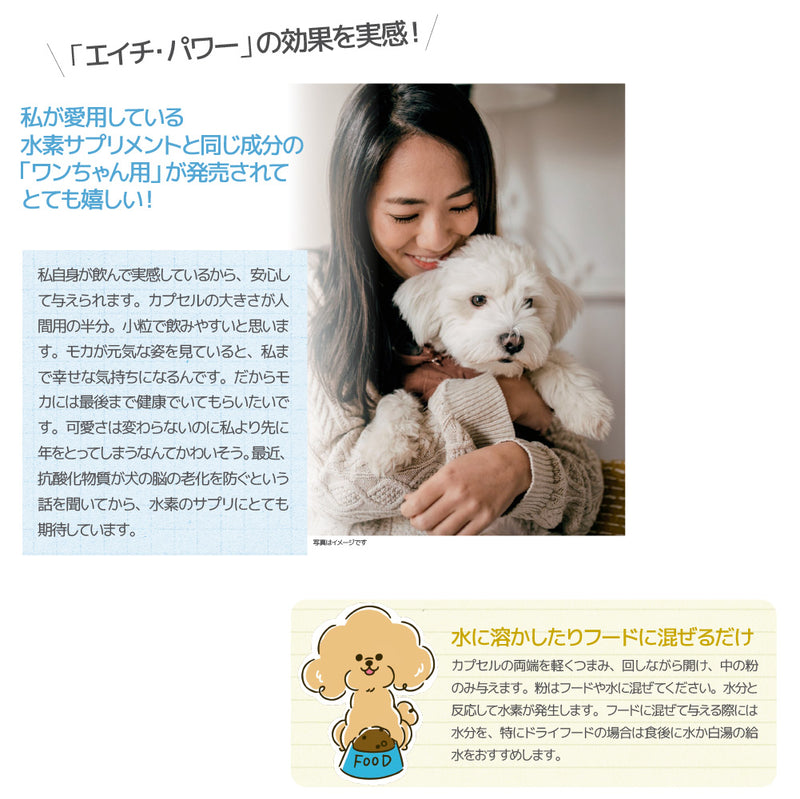 ペット用　栄養補助食品　サプリメント　H-POWER　エイチ・パワー