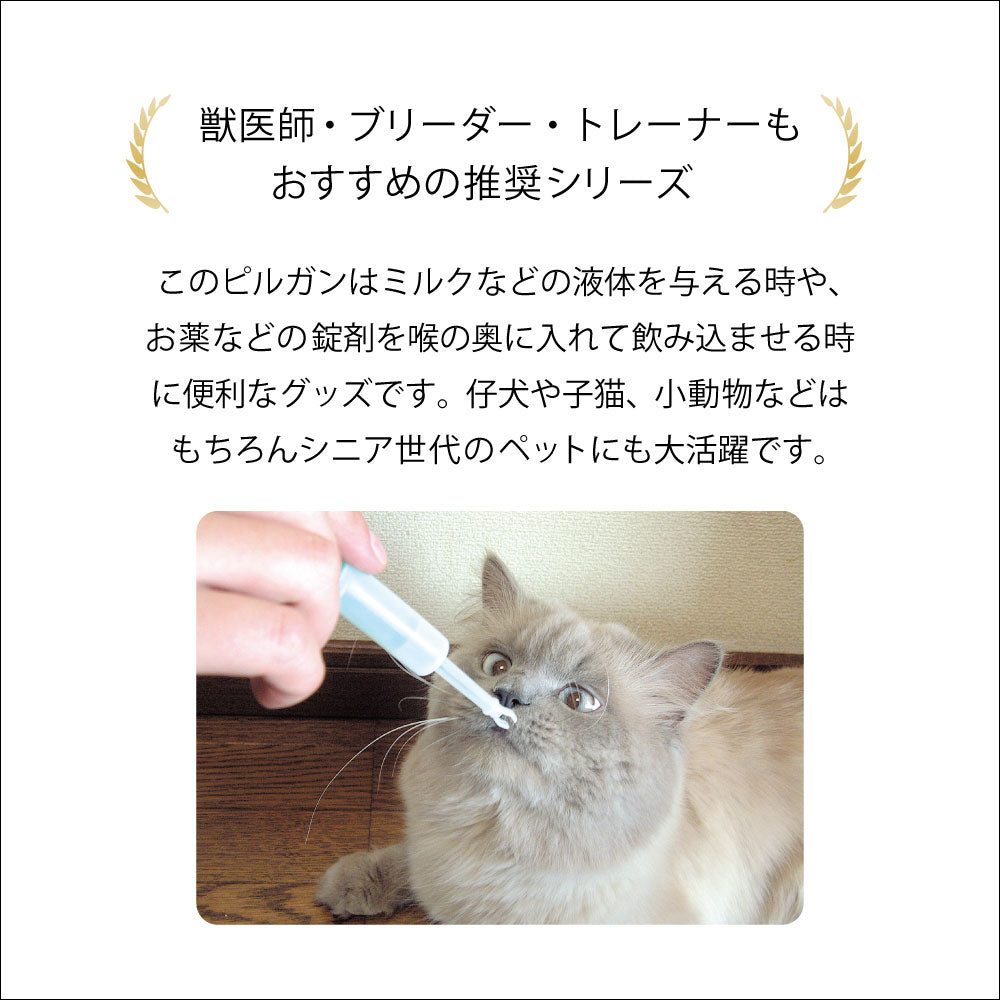Amazon.co.jp: ロナウジーニョ フィギュア ボブルヘッド 人形
