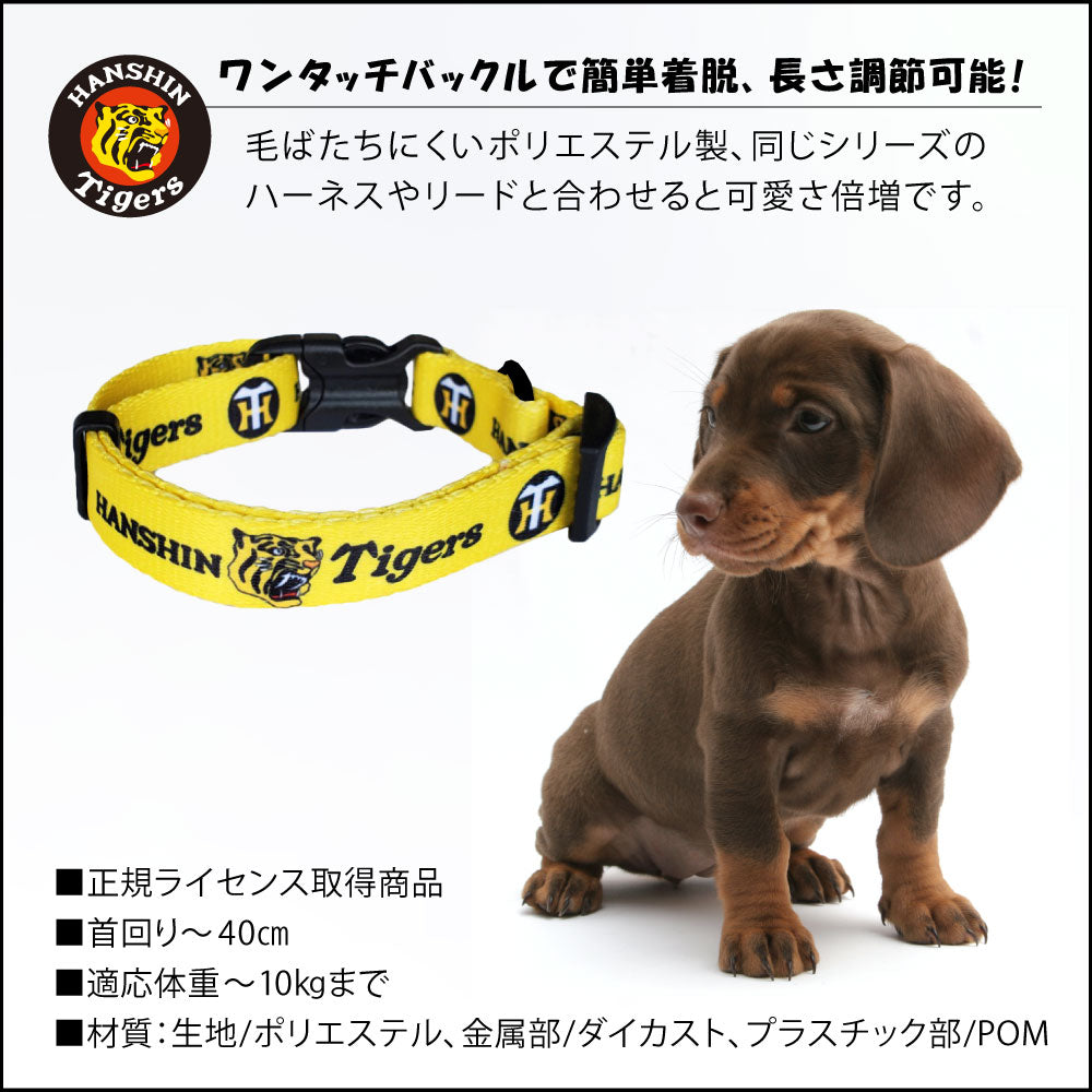 タイガース カラー 犬 猫用 首輪 犬 猫用 首輪 – ファンタジーワールド