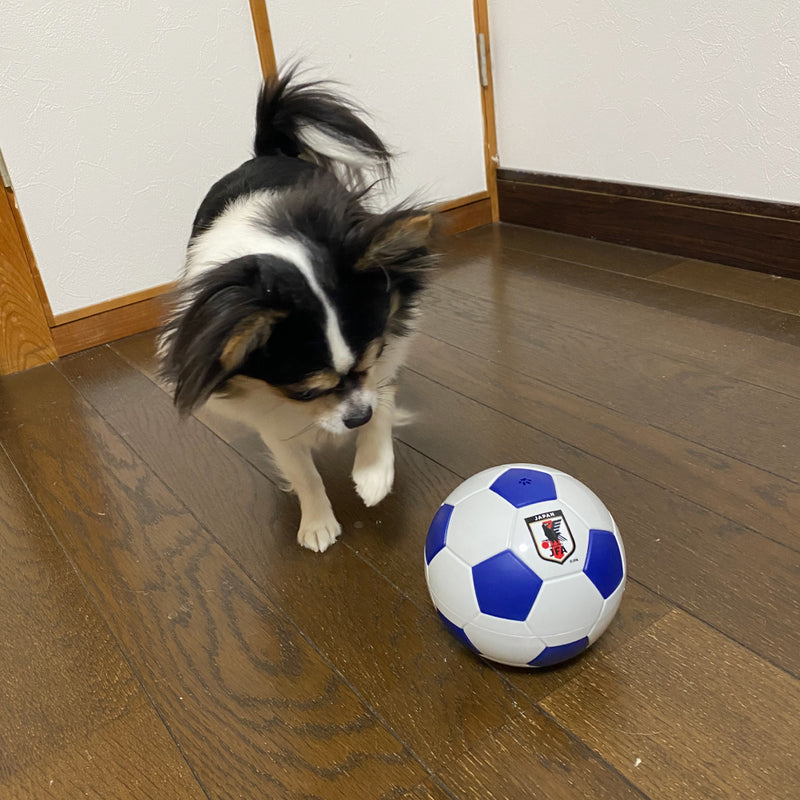 知育トイ  サッカー日本代表チームモデル  トリートサッカーボール