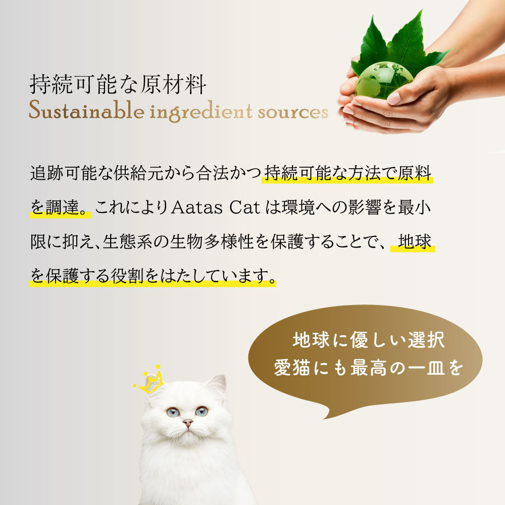 アタス キャット ソウルスーパーフード 80g 選べる3種類
