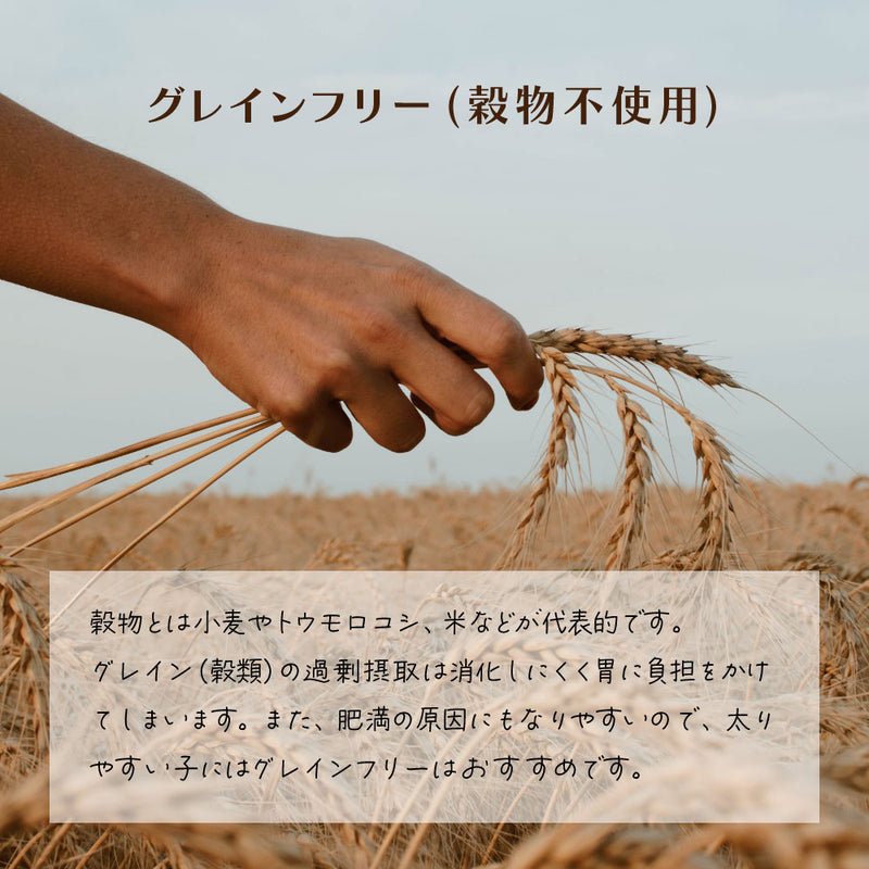 数量限定 セール 賞味期限2025/12/22 チキンブロス ウエットフード　犬 選べる7種類　シグネチャー７