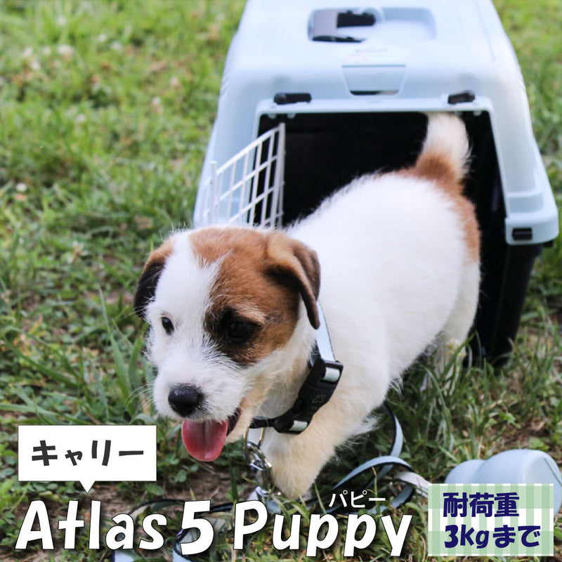 アトラス 5 パピー キャリー 組立発送 Atlas 耐荷重3kgまで　