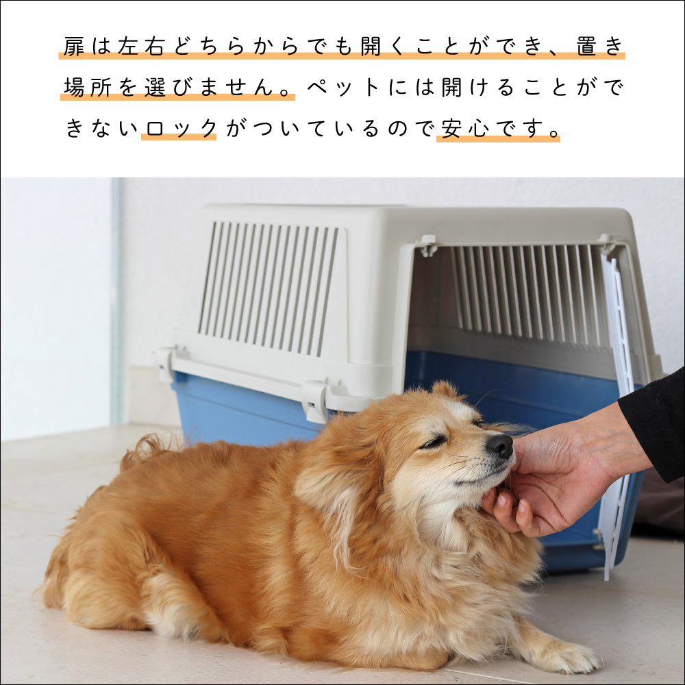 カラーアトラス 犬と猫の関節アプローチ カラーアトラス 犬と猫の関節