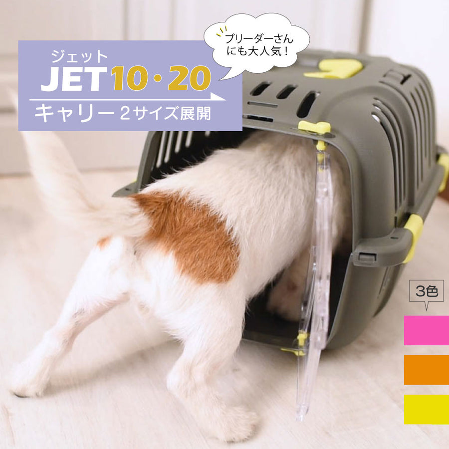 牧草市場 スーパープレミアムチモシー 1番刈り 800g うさぎ