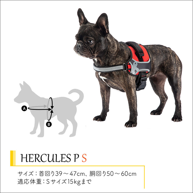 HERCULES P ハーネス ヘラクレス 6サイズ展開 介護