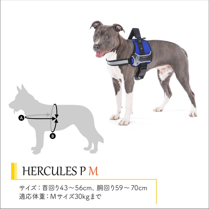 HERCULES P ハーネス ヘラクレス 6サイズ展開 介護