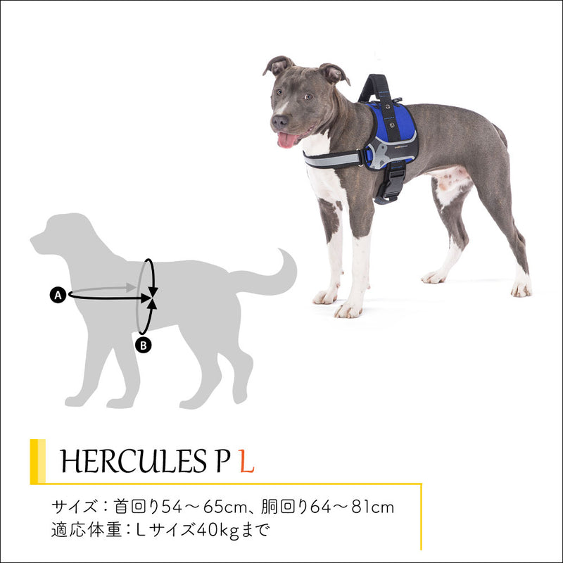 HERCULES P ハーネス ヘラクレス 6サイズ展開 介護