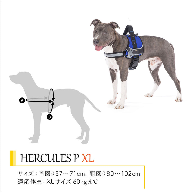 HERCULES P ハーネス ヘラクレス 6サイズ展開 介護