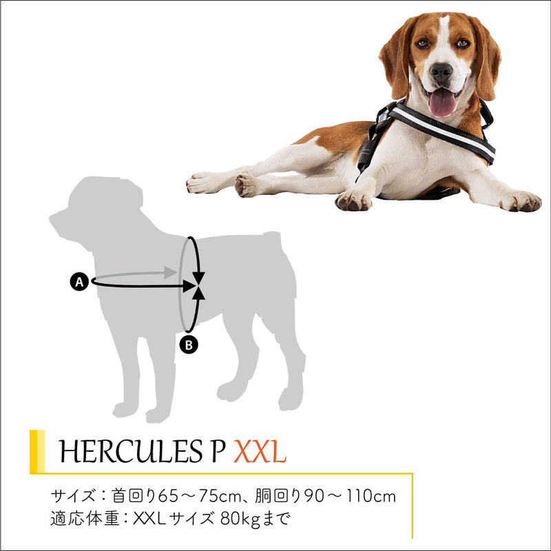 HERCULES P ハーネス ヘラクレス 6サイズ展開 介護