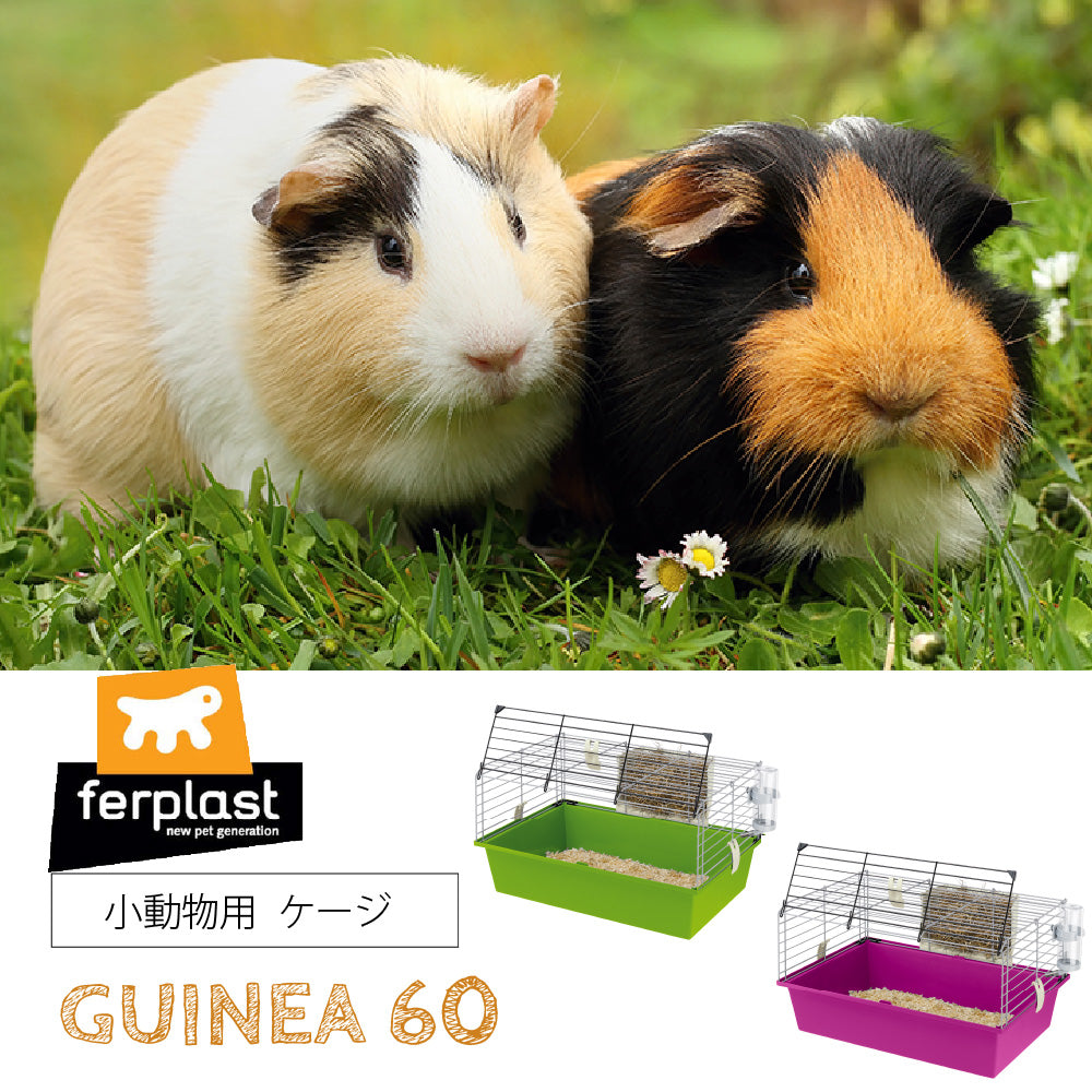 小動物用グッズ – タグ付きの 