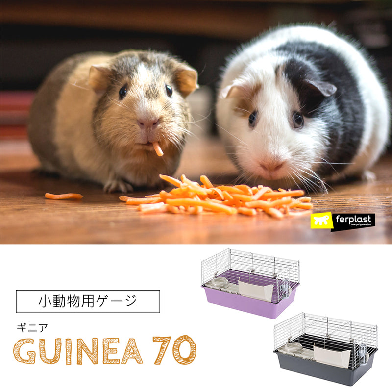 ギニア 70 モルモット ゲージ 小動物 ハウス GUINEA イタリアferplast社製