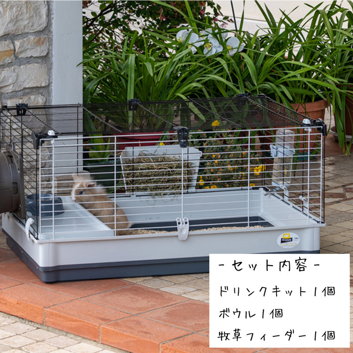 Amazon | ファープラスト クロリック グリーン モルモット