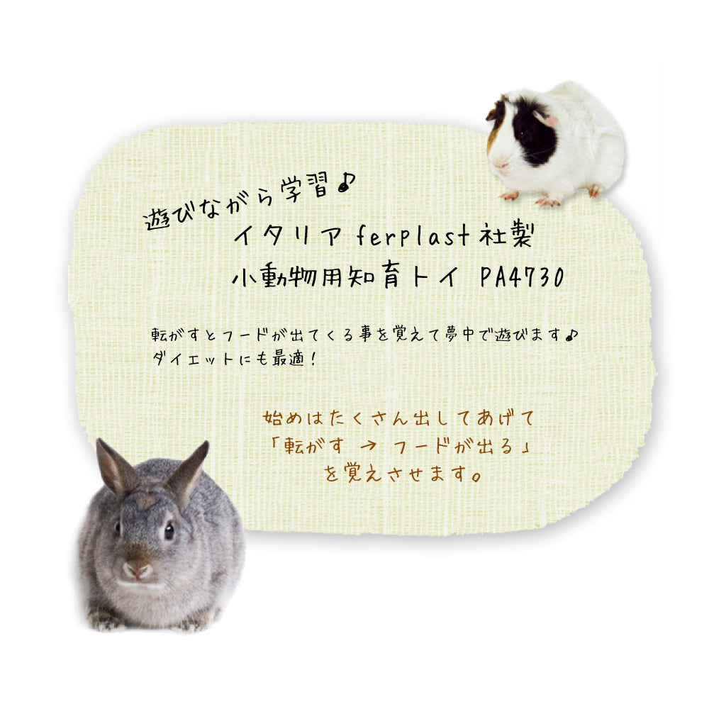 maru様】DWE Let's Play文具セット他おまとめ品